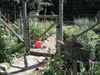 Garden at Ruffed Grouse Lodge - vacation rental - resort in Phillips WI