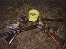 Hunting guns and birds - bird hunting woodcock and ruffed grouse accommodations in Phillips Wisconsin