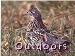 Outdoors Page in Phillips WI - Phillips Wisconsin Resort - Grouse hunting and grouse hunters near Phillips Wisconsin